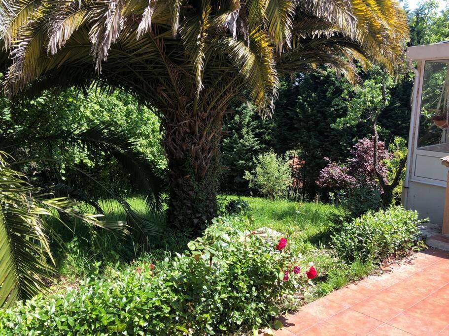 Villa La Casona De La Carbayeda Oviédo Exterior foto